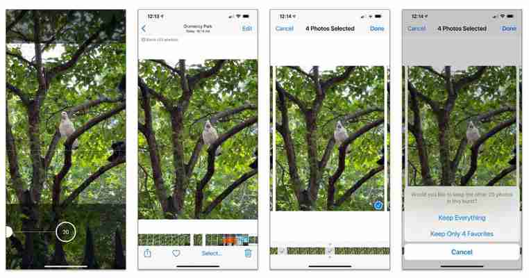 Cuatro rápidos consejos para tomar fotos con la cámara del celular